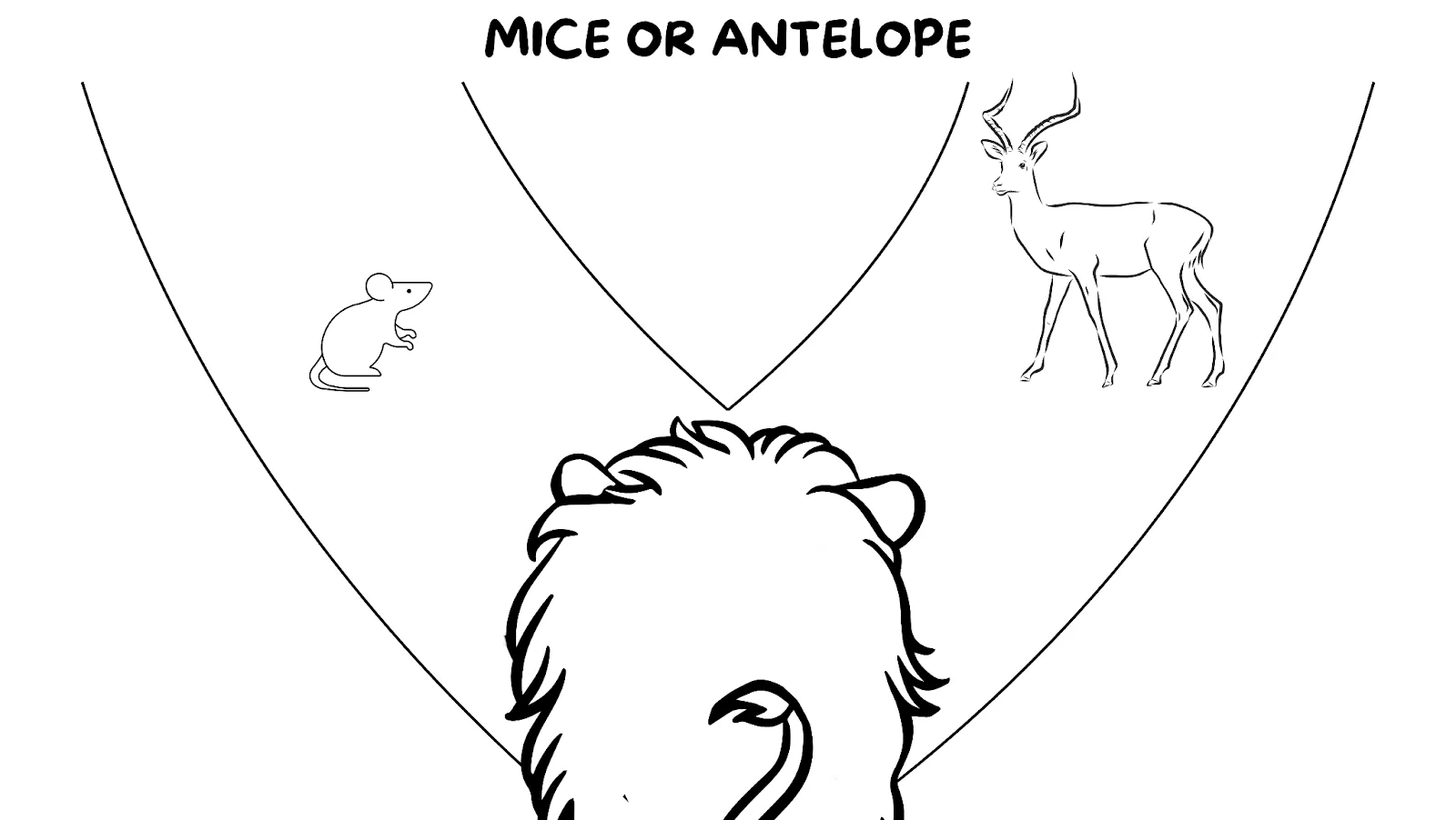 Andy Crebar - I met a billionaire... here are 5 things I learned - Lion chases antelope