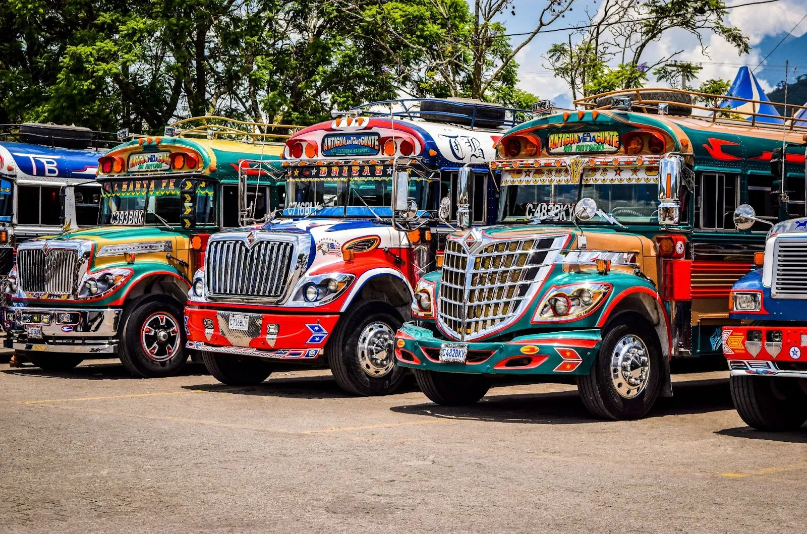Vibrant, ornately decorated buses in a lineup, showcasing the unique and colorful designs of traditional cultural vehicles - Andy Crebar